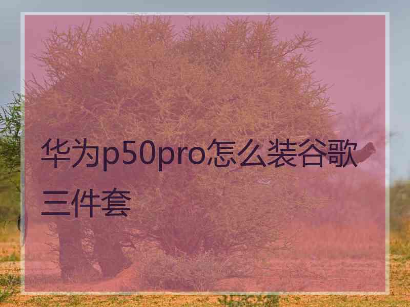 华为p50pro怎么装谷歌三件套