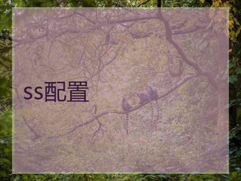 ss配置