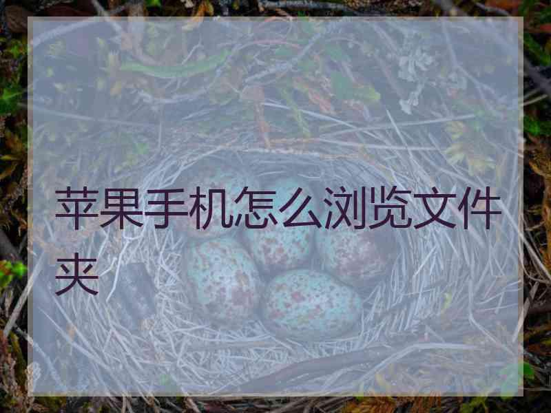 苹果手机怎么浏览文件夹