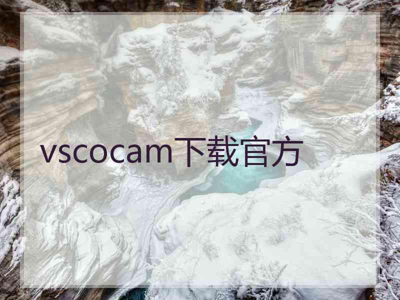 vscocam下载官方