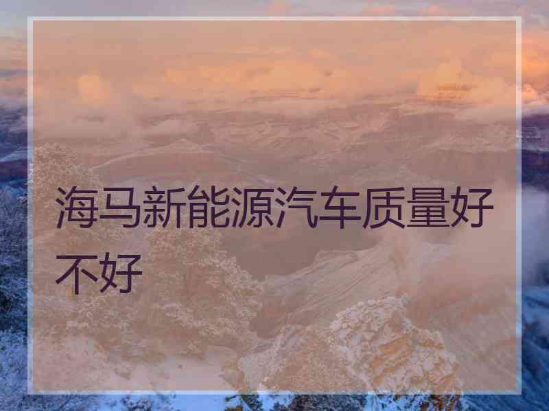 海马新能源汽车质量好不好