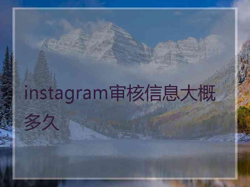 instagram审核信息大概多久