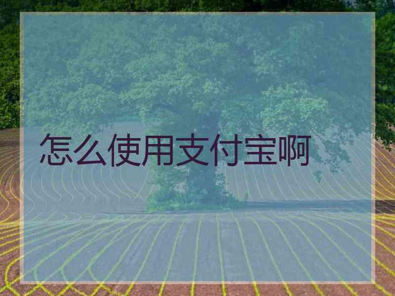 怎么使用支付宝啊