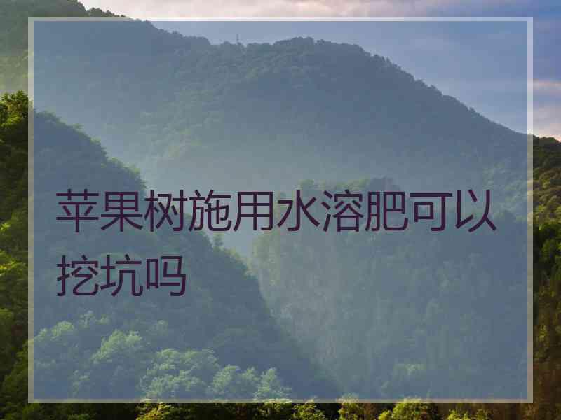 苹果树施用水溶肥可以挖坑吗