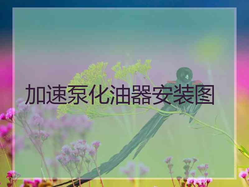 加速泵化油器安装图