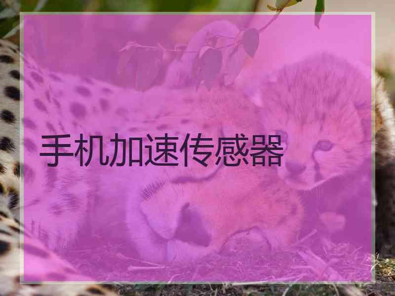 手机加速传感器