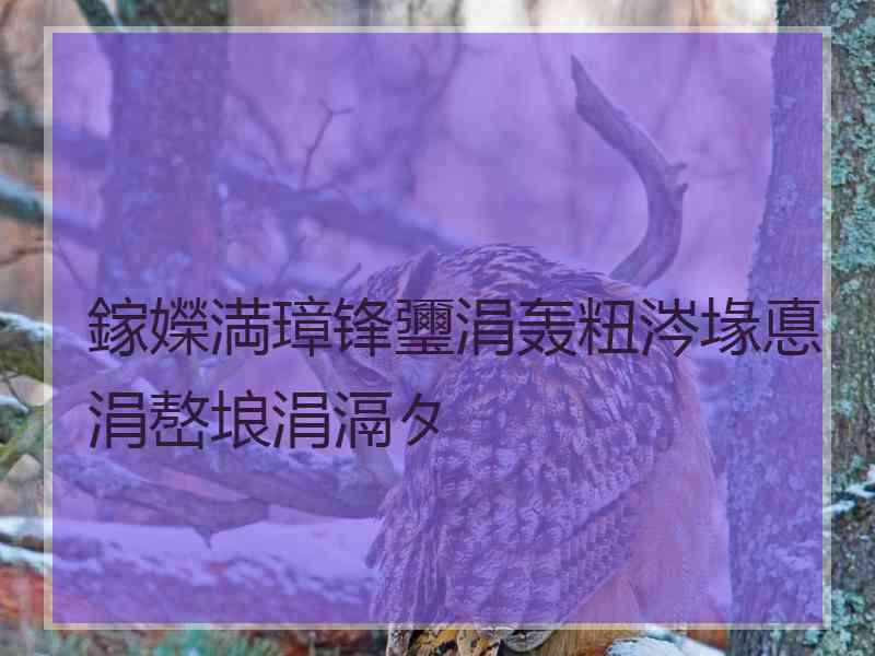 鎵嬫満璋锋瓕涓轰粈涔堟悳涓嶅埌涓滆タ
