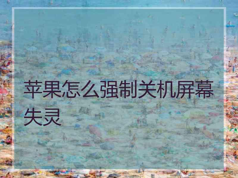 苹果怎么强制关机屏幕失灵