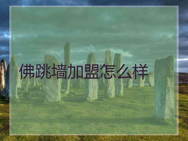 佛跳墙加盟怎么样
