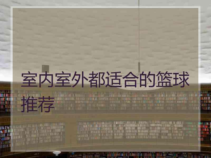 室内室外都适合的篮球推荐