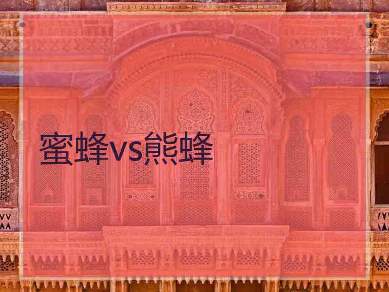 蜜蜂vs熊蜂