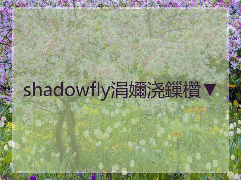 shadowfly涓嬭浇鏁欑▼