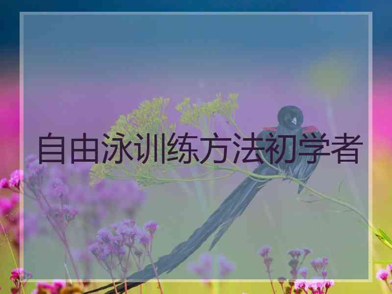 自由泳训练方法初学者
