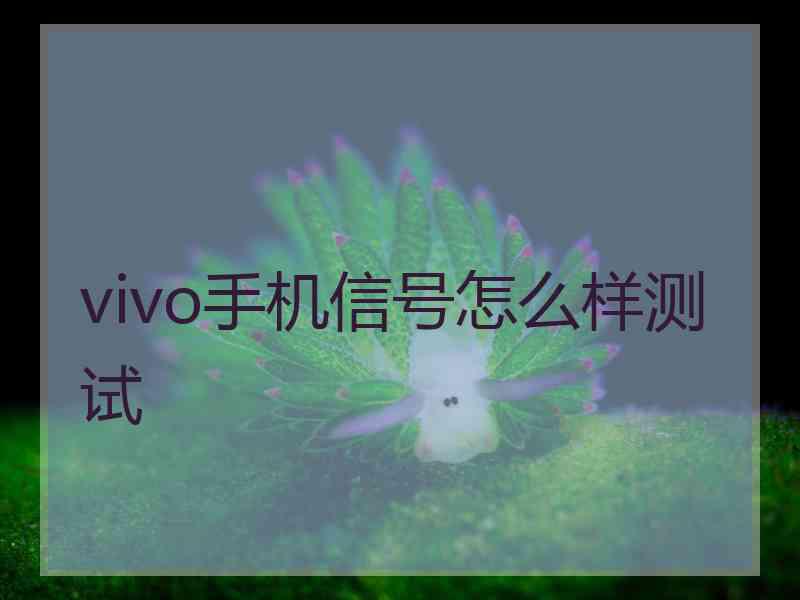 vivo手机信号怎么样测试