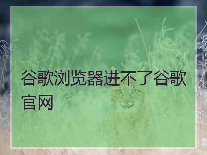 谷歌浏览器进不了谷歌官网
