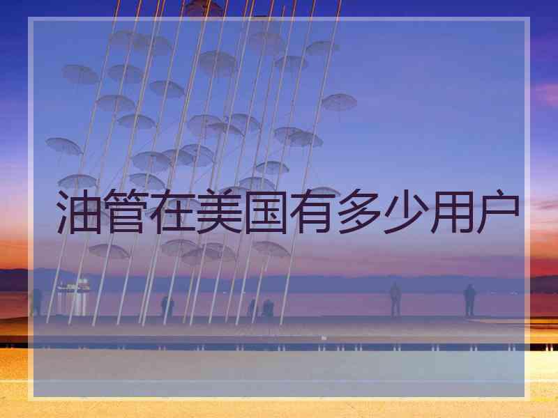 油管在美国有多少用户