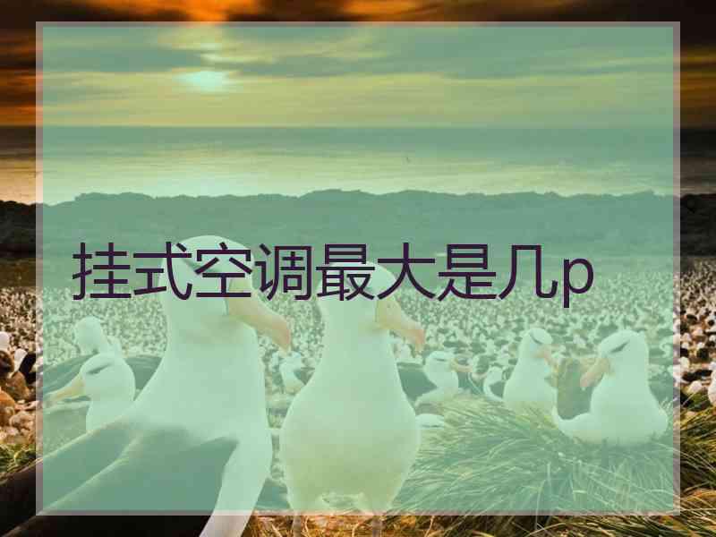 挂式空调最大是几p