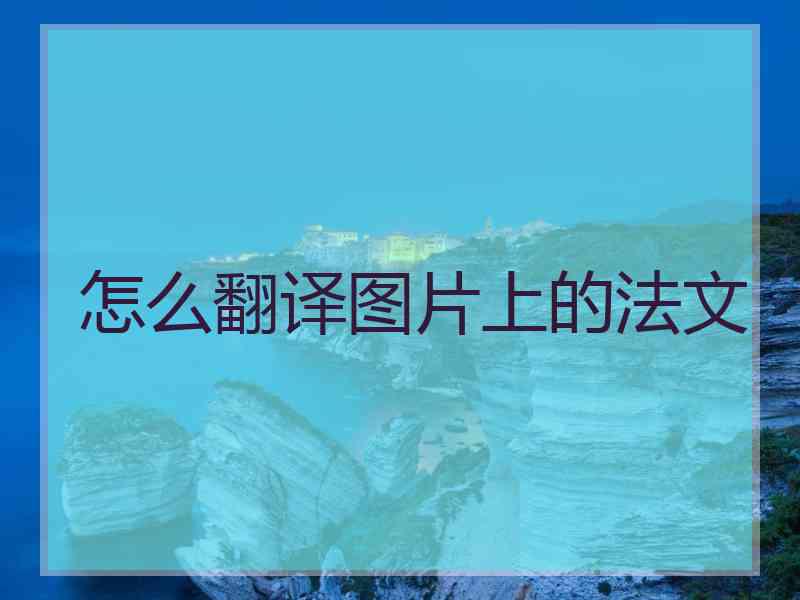怎么翻译图片上的法文