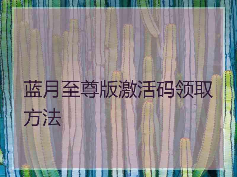 蓝月至尊版激活码领取方法