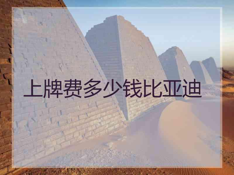 上牌费多少钱比亚迪