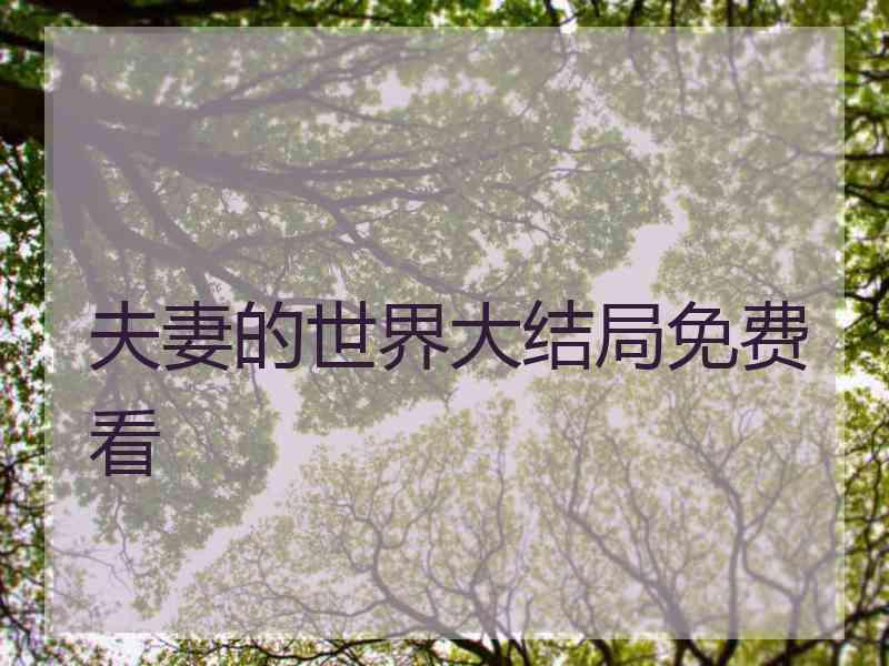 夫妻的世界大结局免费看