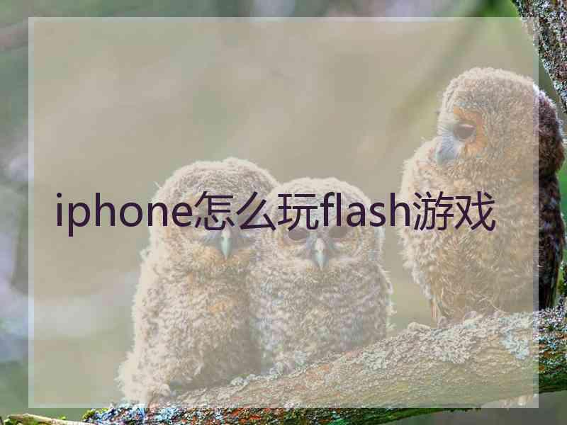 iphone怎么玩flash游戏