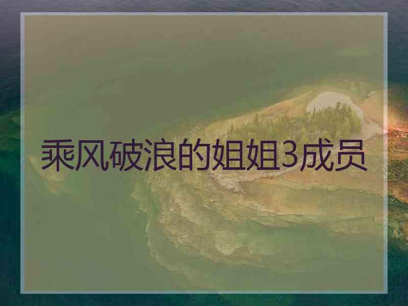 乘风破浪的姐姐3成员