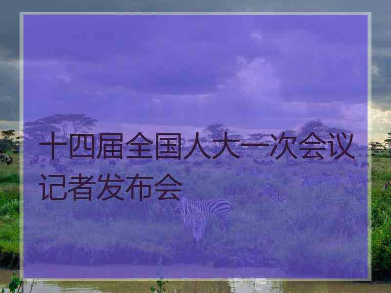 十四届全国人大一次会议记者发布会