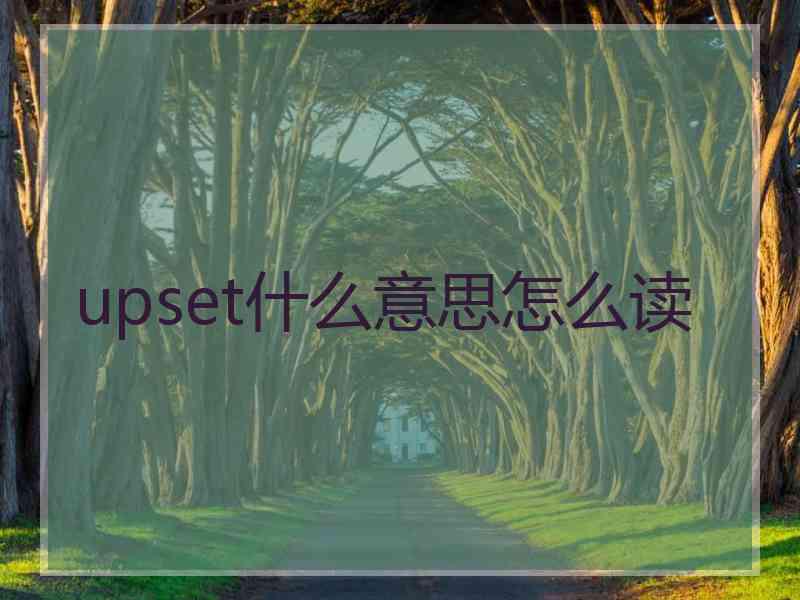 upset什么意思怎么读
