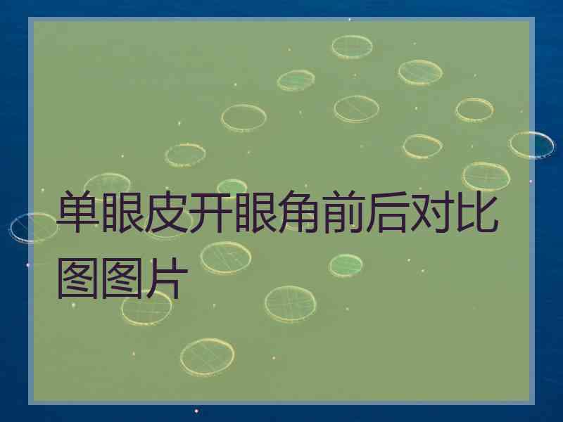 单眼皮开眼角前后对比图图片