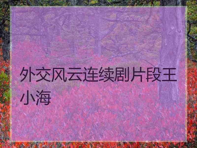 外交风云连续剧片段王小海
