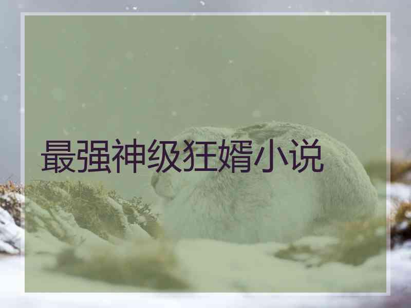 最强神级狂婿小说