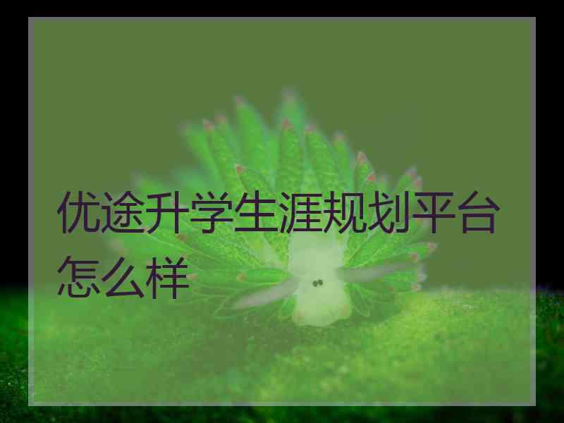 优途升学生涯规划平台怎么样