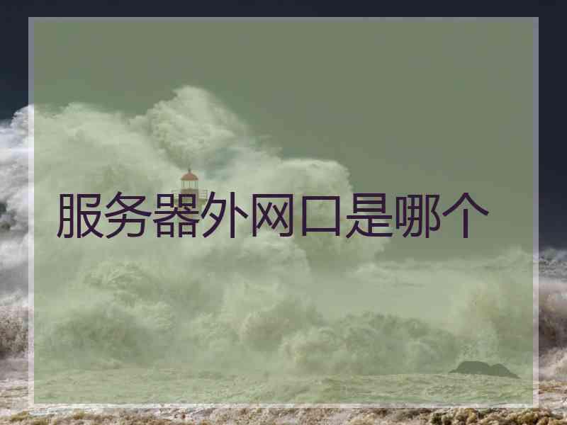 服务器外网口是哪个