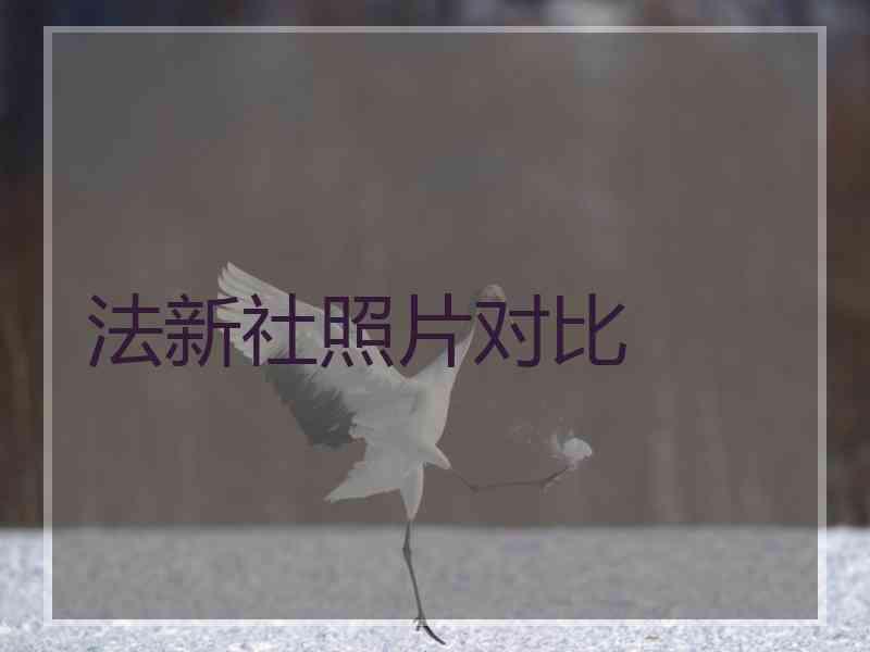 法新社照片对比