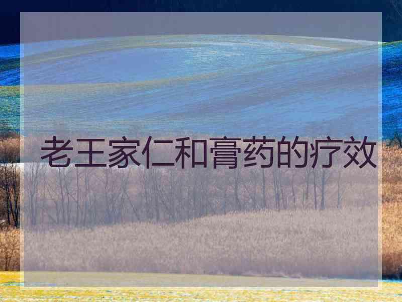老王家仁和膏药的疗效