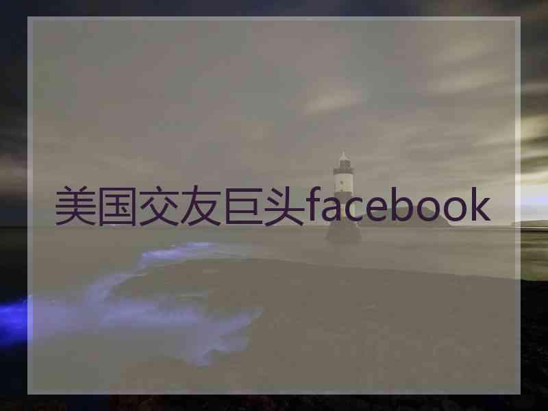 美国交友巨头facebook