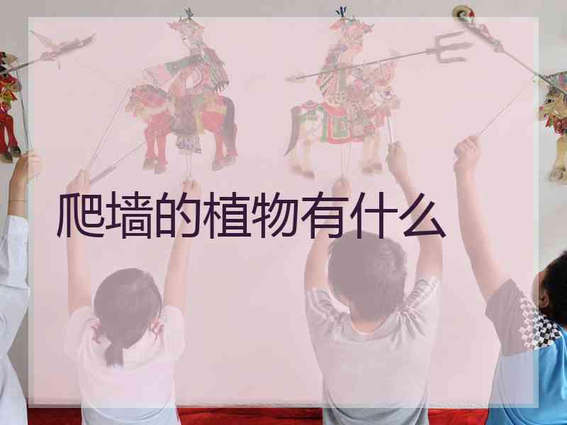 爬墙的植物有什么