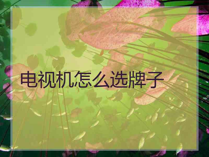 电视机怎么选牌子