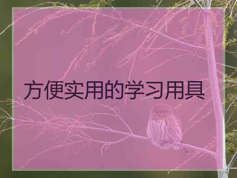 方便实用的学习用具