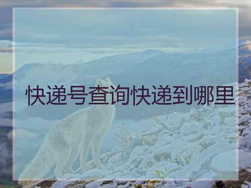 快递号查询快递到哪里