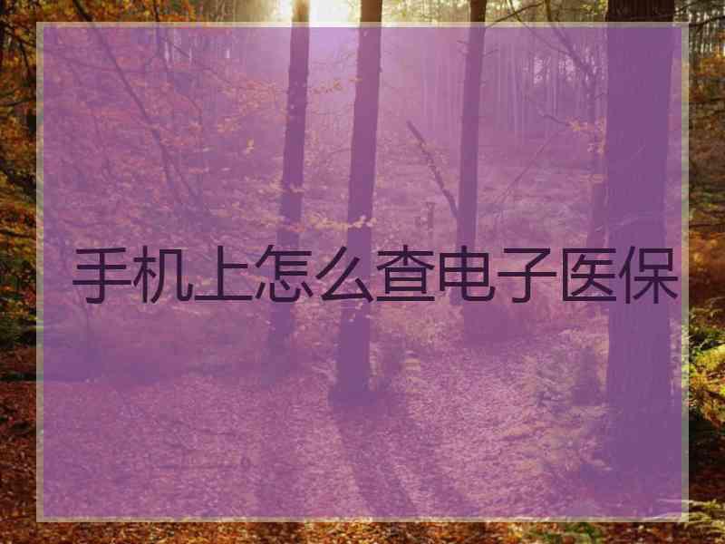 手机上怎么查电子医保