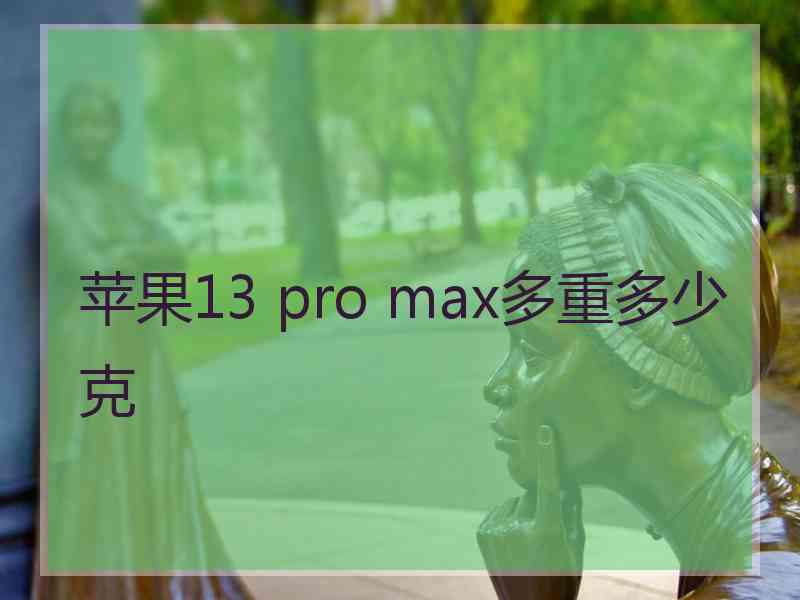 苹果13 pro max多重多少克