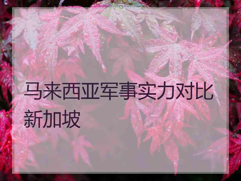 马来西亚军事实力对比新加坡