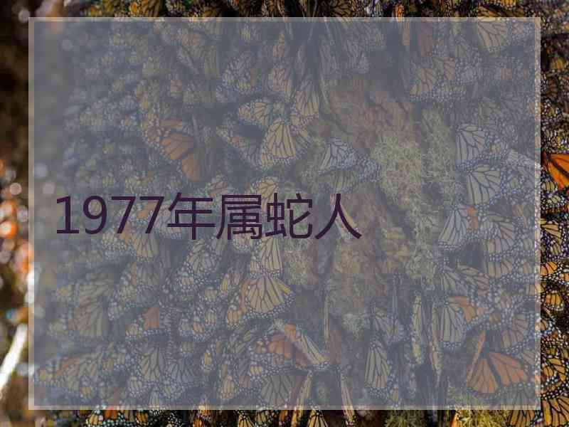 1977年属蛇人