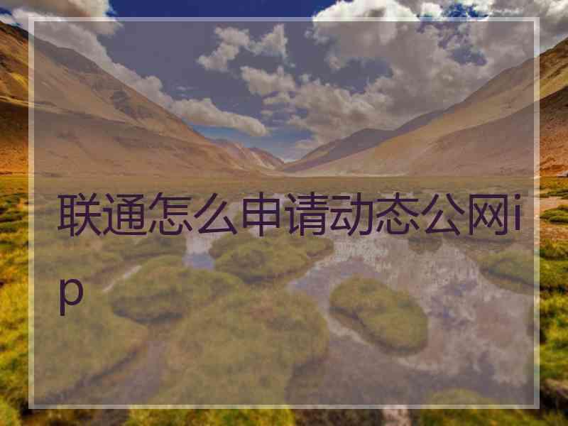 联通怎么申请动态公网ip