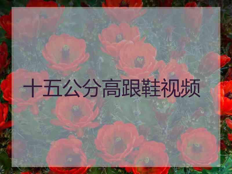 十五公分高跟鞋视频