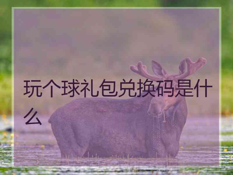 玩个球礼包兑换码是什么