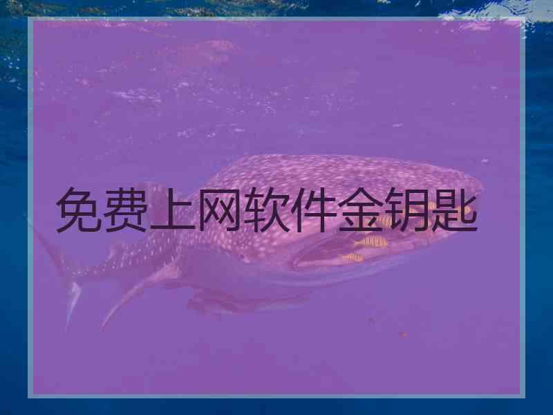 免费上网软件金钥匙