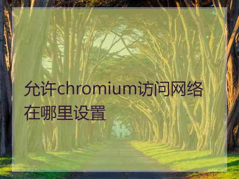 允许chromium访问网络在哪里设置